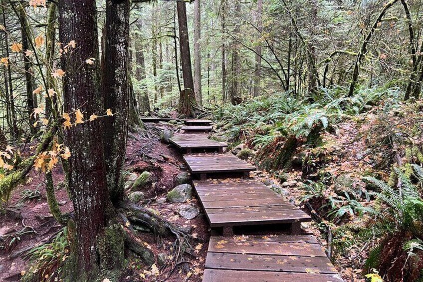 Hike Lynn Canyon and Bike Seymour Demonstration Forest