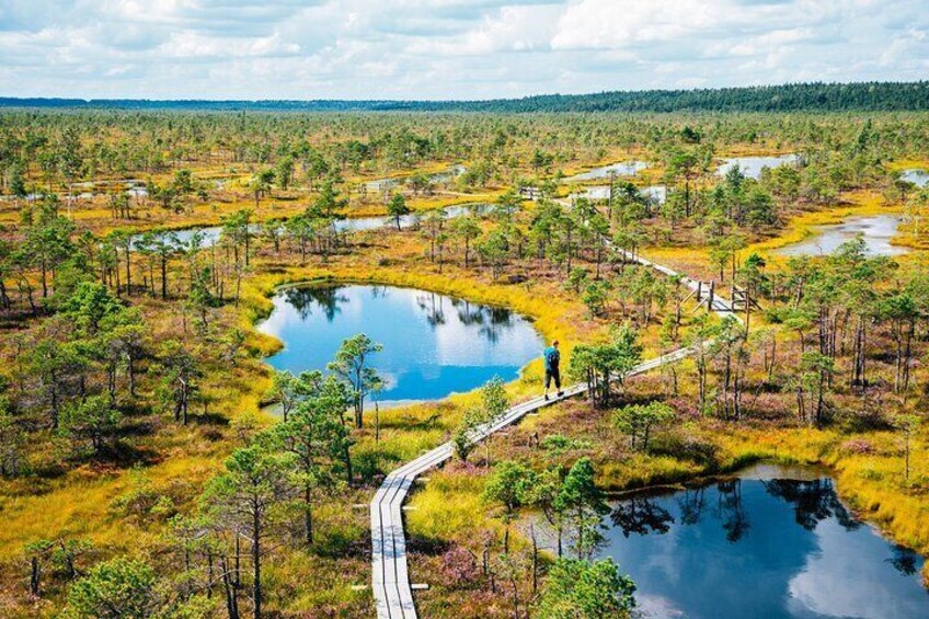 Great Kemeri Bog Boardwalk