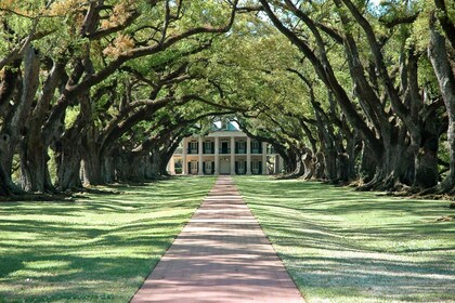 New Orleans: Single Plantation and Pontoon Swamp Day Trip