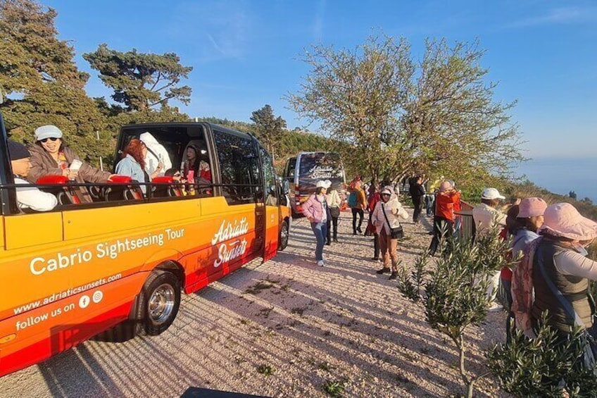 Dubrovnik: Convertible bus panorama tour with audioguide