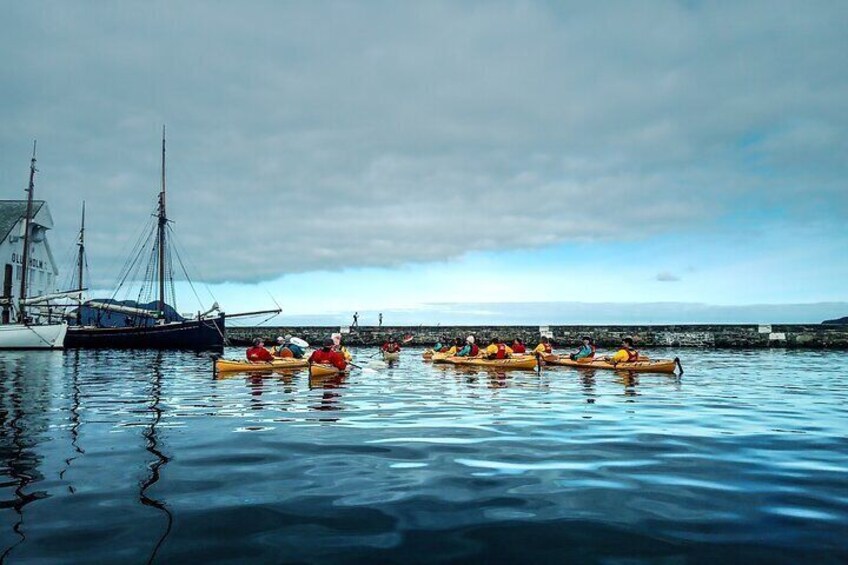 Sea Kayaking In Ålesund