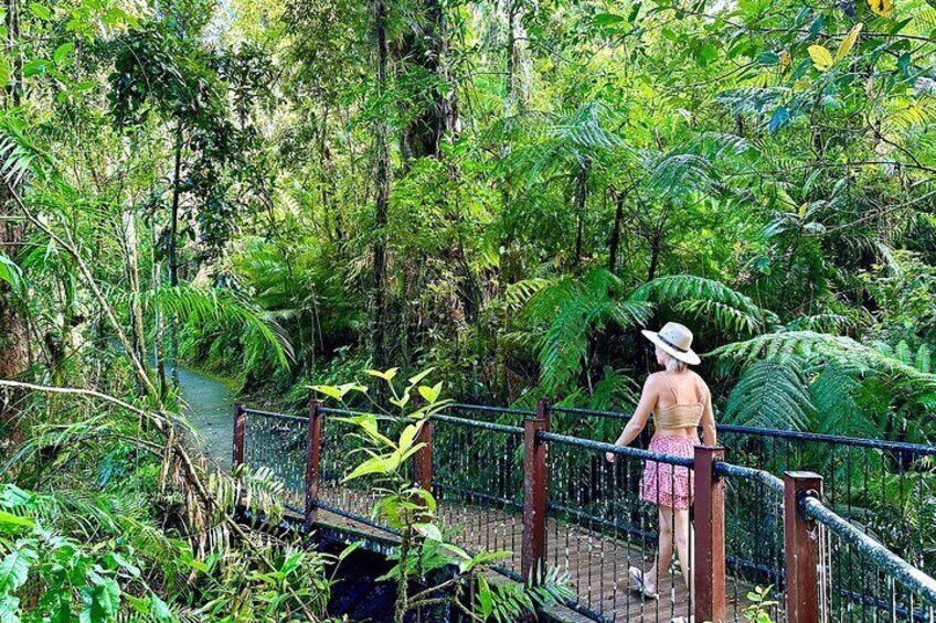 Splash and Slide: Josephine Falls Half Day Adventure from Cairns