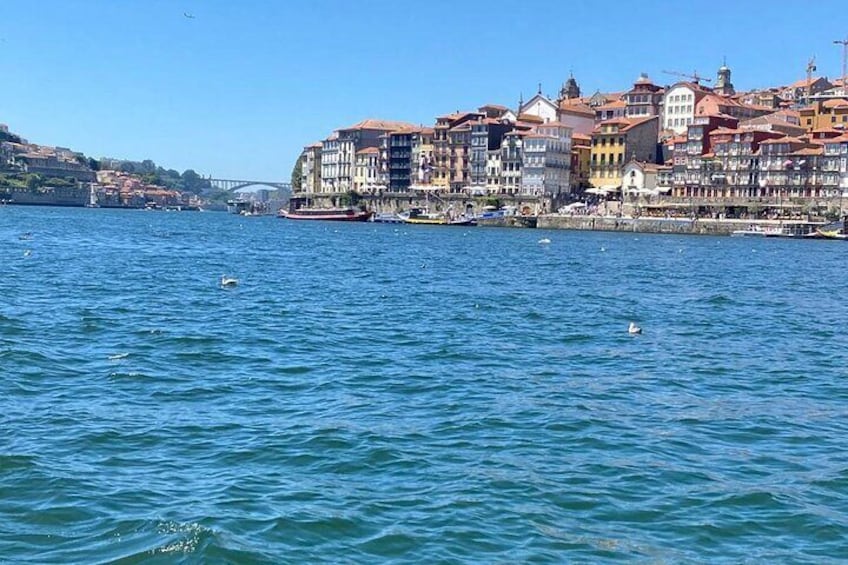 Douro River Private Tour