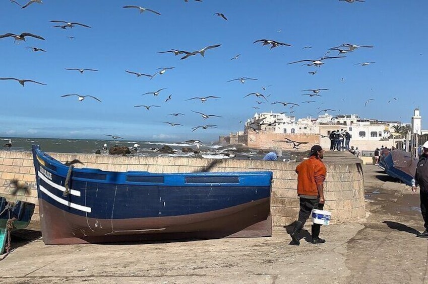 From Marrakech: Full-Day Trip to Essaouira