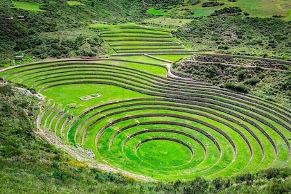 Full Day Tour: Maras, Moray and Ollantaytambo (Private service)