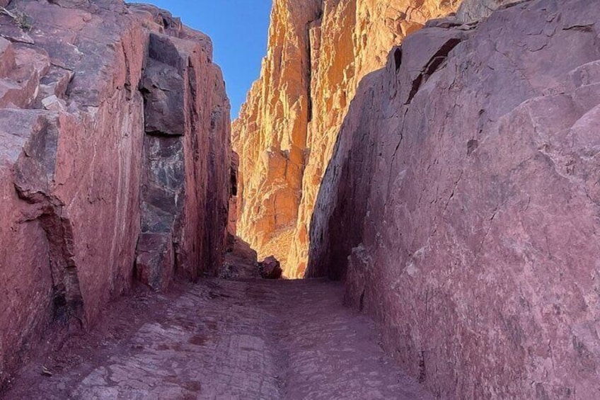 Sacred Mount Sinai and St. Catherine Tour from Sharm El Sheikh