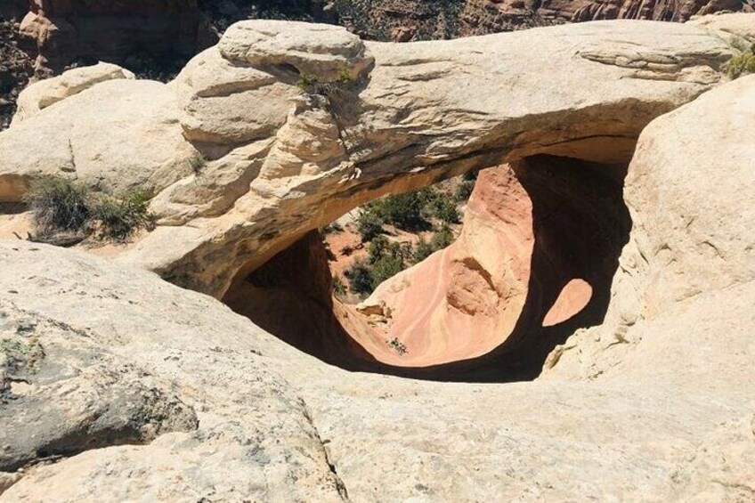 Rattlesnake Arches Guided Hike