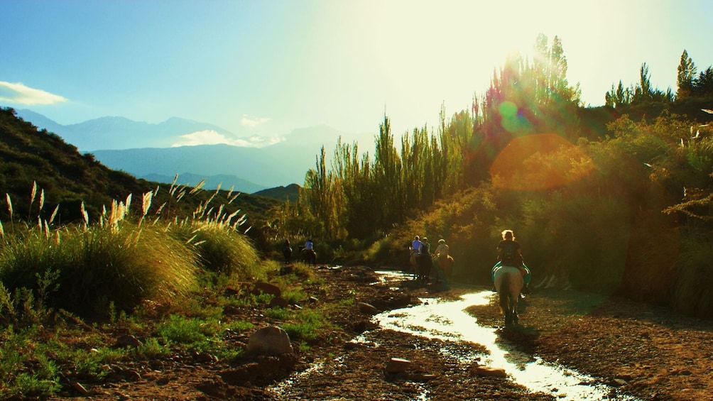 Sunset Horseback Riding in the Andes Mountains from Menzoza
