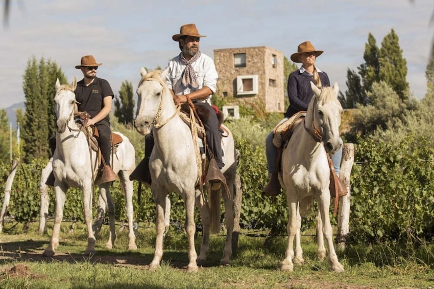 Sunset Horseback Riding in the Andes Mountains from Mendoza