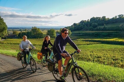 Visite des vins de Saint-Émilion en vélo électrique haut de gamme, déjeuner...