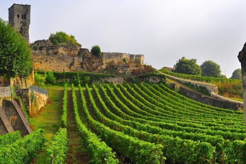 Saint-Émilion Wine Tour By Electric Bike