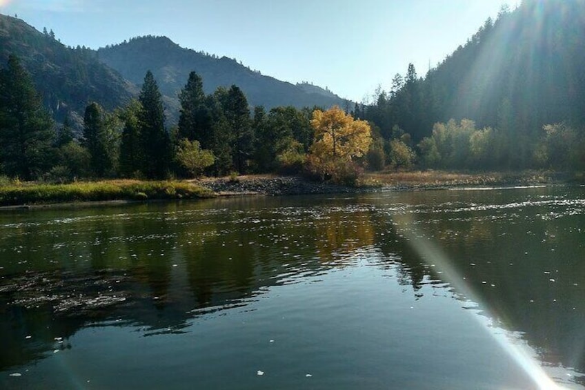 Gentle Whitewater Float on the Salmon River