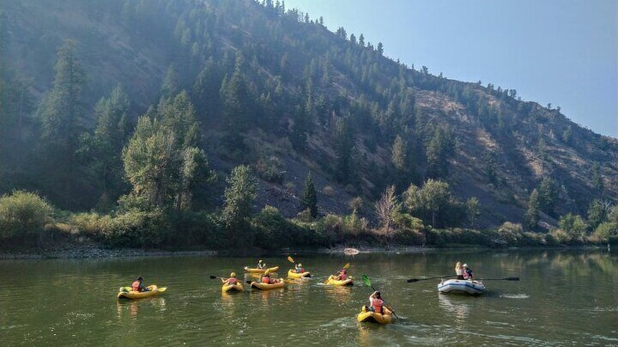 Gentle Whitewater Float on the Salmon River