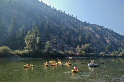 Gentle Whitewater Float on the Salmon River