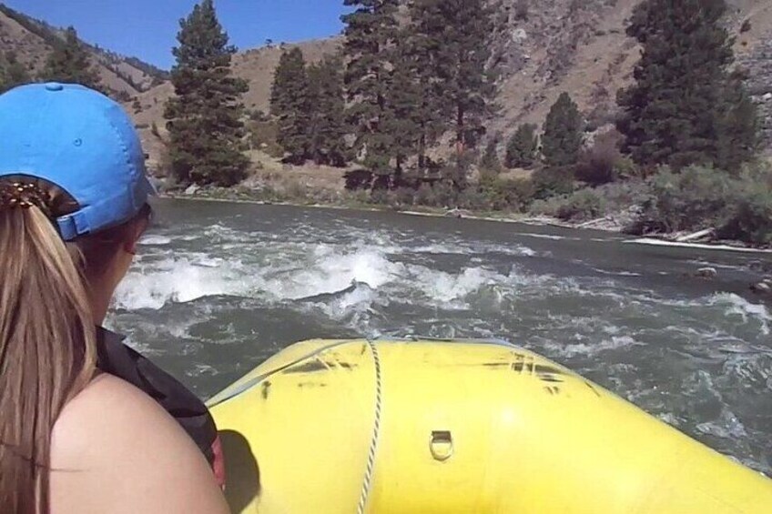Gentle Whitewater Float on the Salmon River