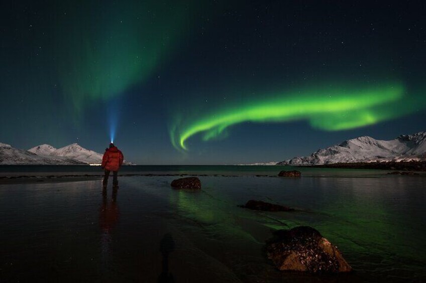 Northern Lights Tromsø: Private Tour with Local Guide