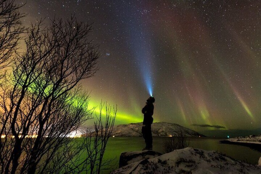 Northern Lights Tromsø: Private Tour with Local Guide