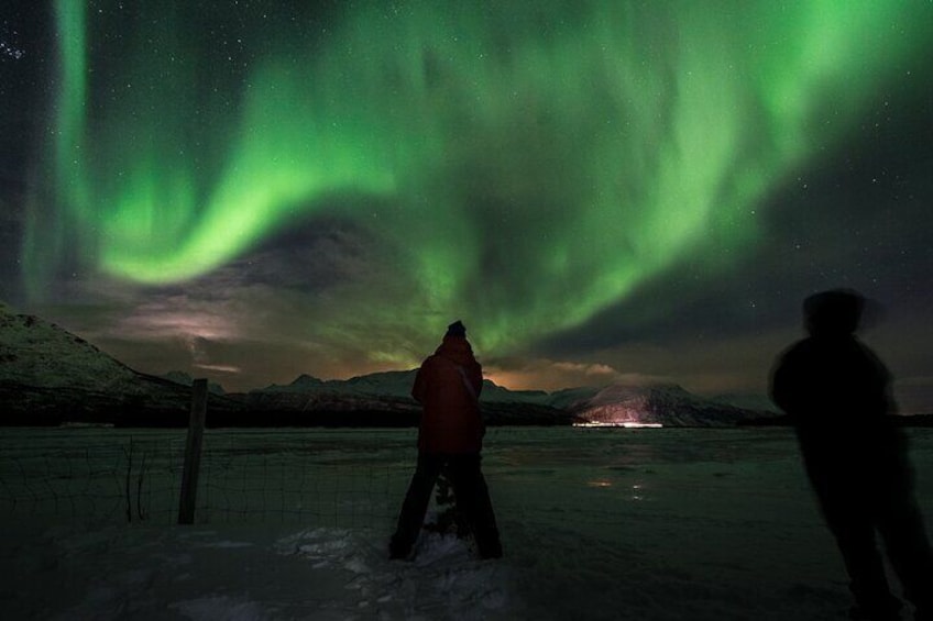 Northern Lights Tromsø: Private Tour with Local Guide