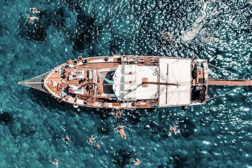 Jason Daily Cruises