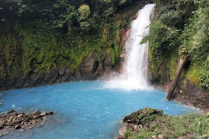 From La Fortuna: Río Celeste Waterfall, Tubing Tour and Lunch.