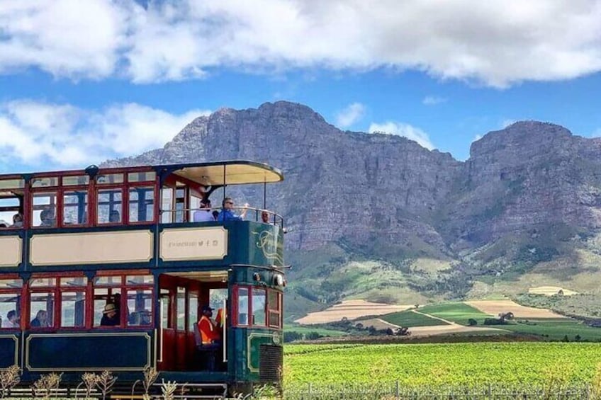 Stellenbosch & Franschhoek Wine Tasting Tour From Cape Town