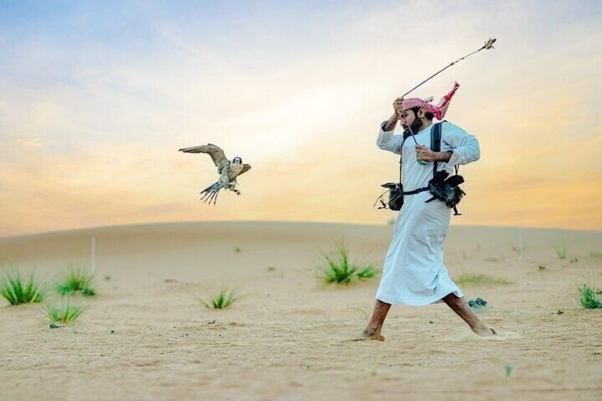 Morning-falconry-experience-57-safari-dubai-heritage