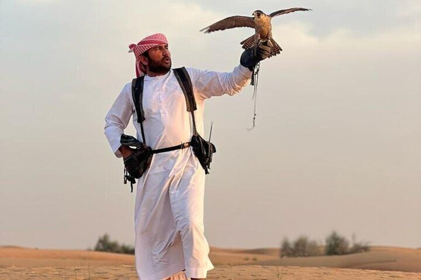 Morning-falconry-experience-57-safari-dubai-heritage-falcon-show-falcons