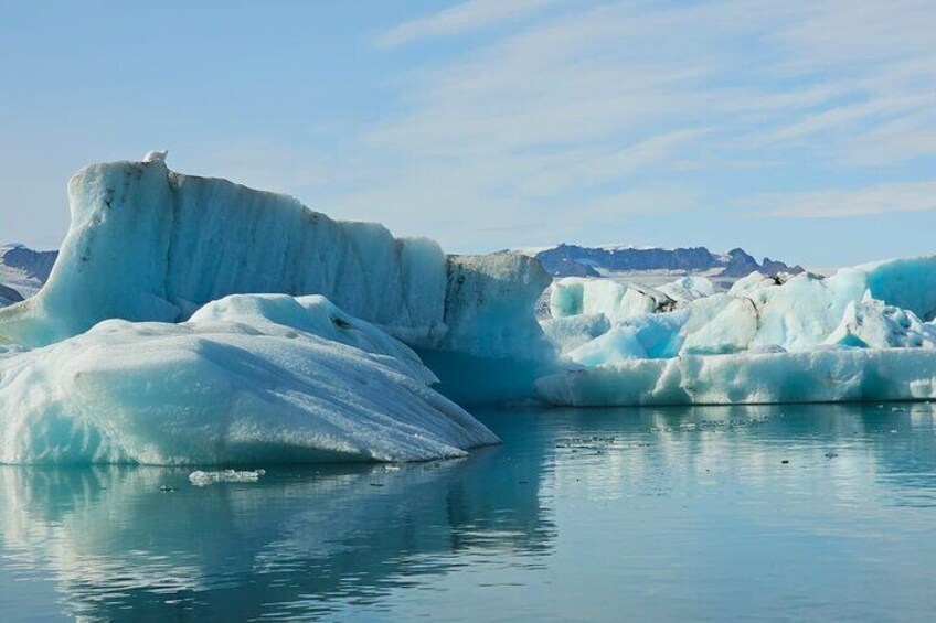 Jokulsarlon :Day Tour of Diamond Beach & Floating Glacier Lagoon