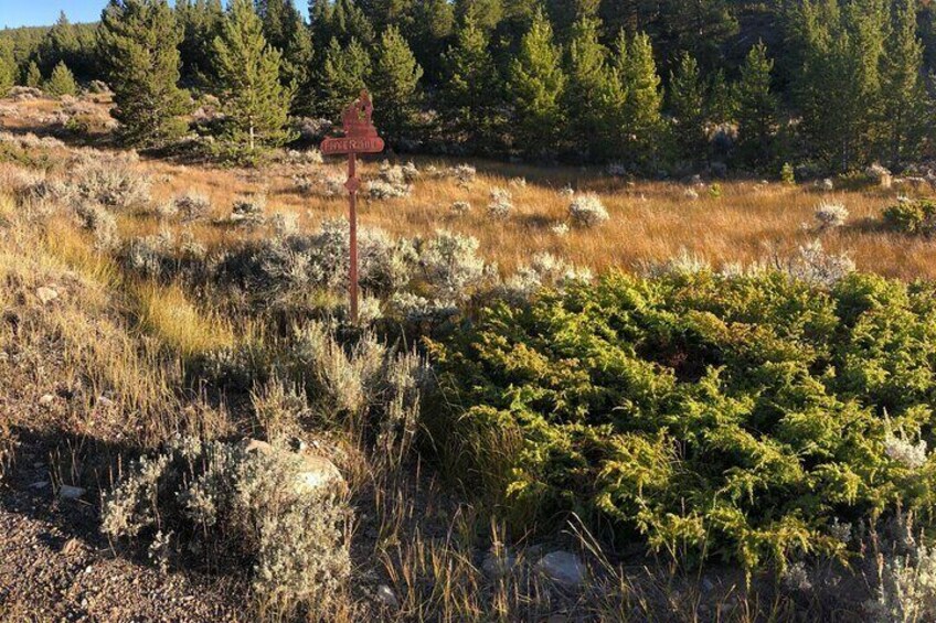 2-Hour E-Bike Tour of Trail of the Silver Kings (Old Mine Tour)
