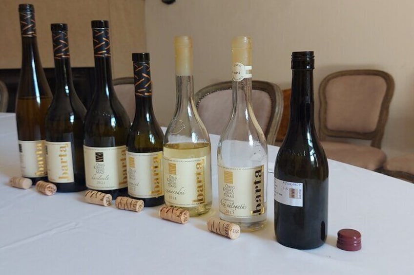 Tokaj Wine Tour