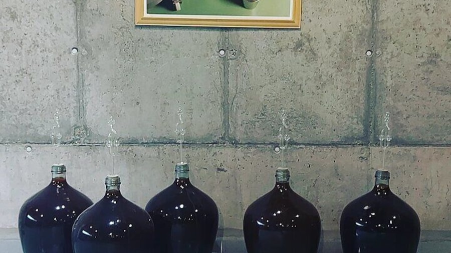 Essence of Tokaj
