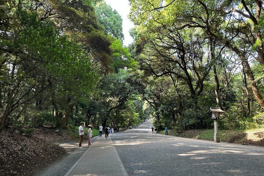 Sacred Morning Walk and Brunch Meiji Shrine