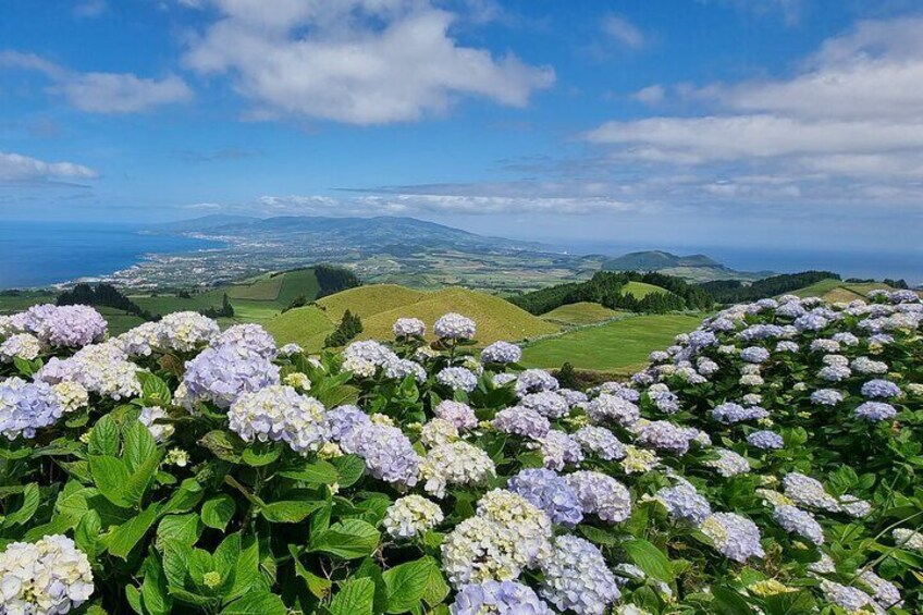 Sete Cidades / Lagoa do Fogo - Full Day Tour 