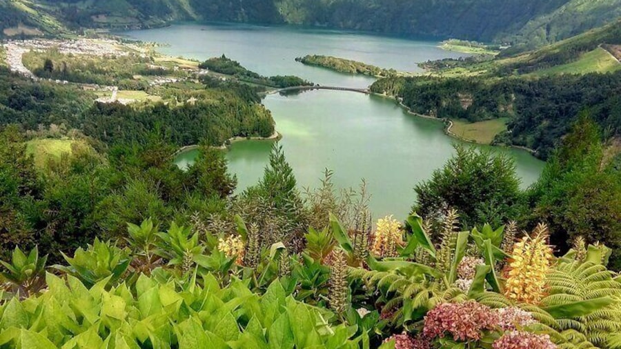 Vista do Rei