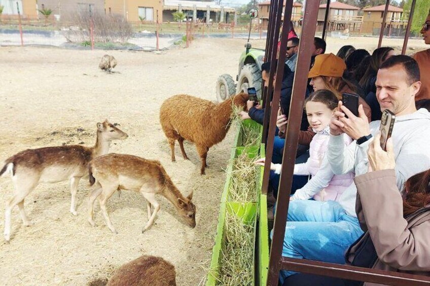 Full Day Tour to the Safari Park in Chile