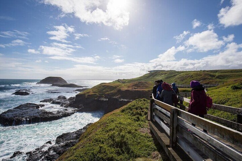 Puffing Billy And Phillip Island Wildlife Bus Tour