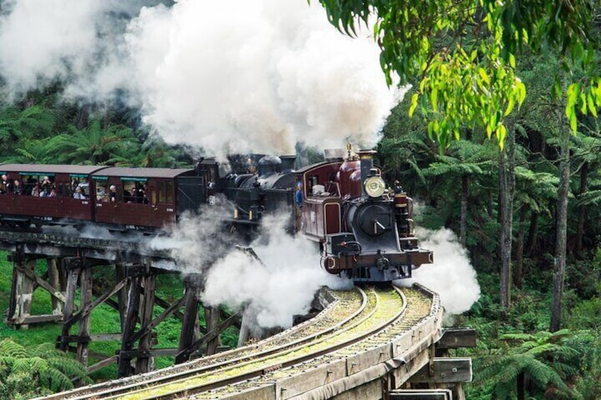 Puffing Billy And Phillip Island Wildlife Bus Tour