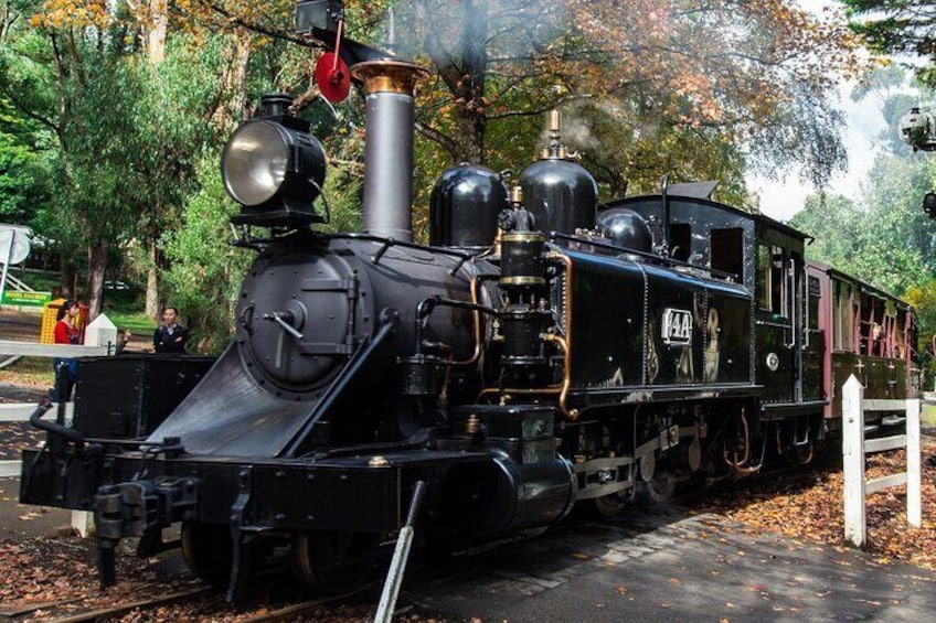 Puffing Billy And Phillip Island Wildlife Bus Tour