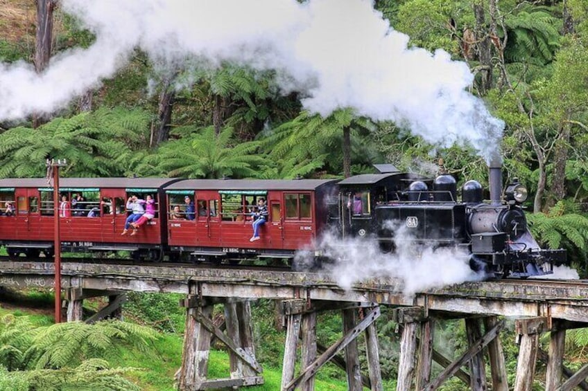 Puffing Billy And Phillip Island Wildlife Bus Tour