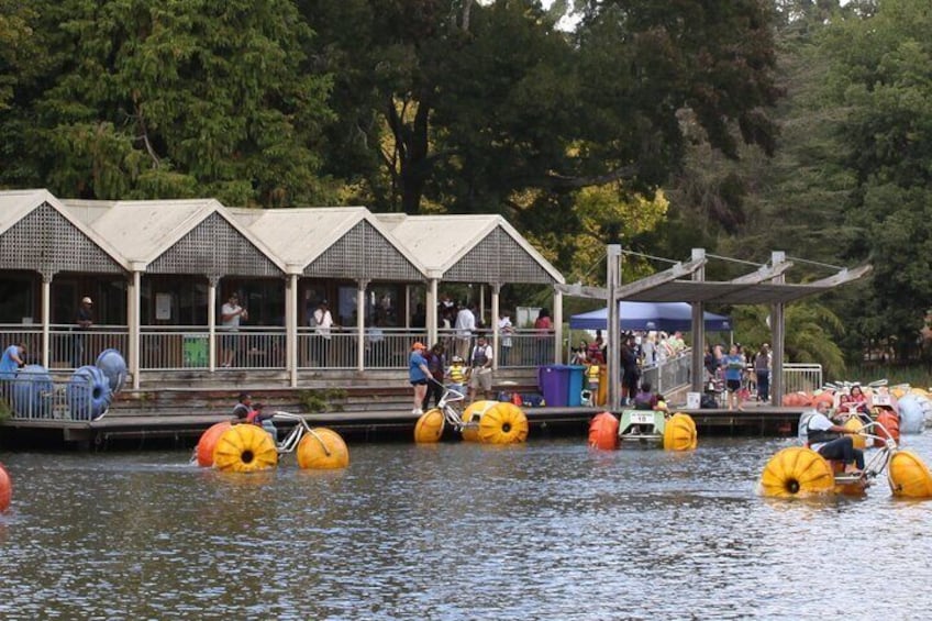 Puffing Billy And Phillip Island Penguin Parade Bus Tour