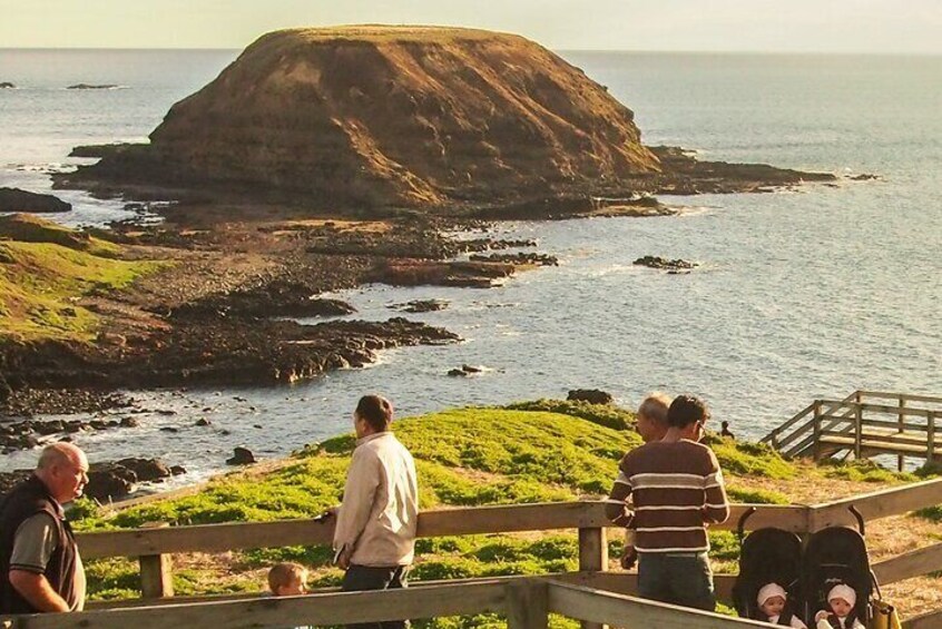 Puffing Billy And Phillip Island Wildlife Bus Tour