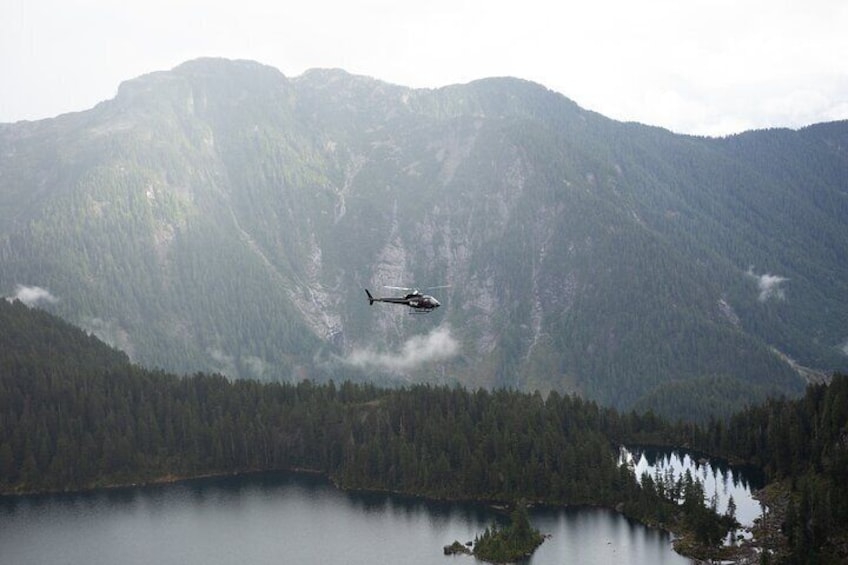 Private Helicopter BC Backcountry Tour with Hotel Pick-up