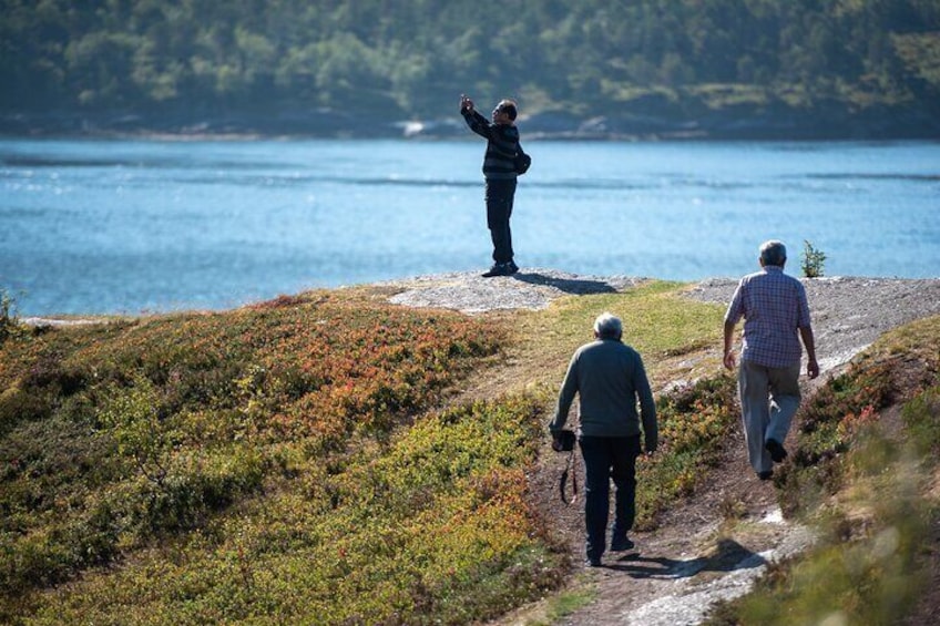 Tromsø & Sommarøy - Private coastal tour with a local