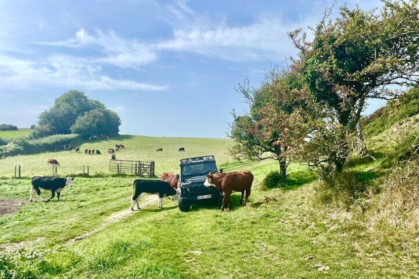 4x4 Land Rover Safari Across Purbeck Hills and Jurassic Coast