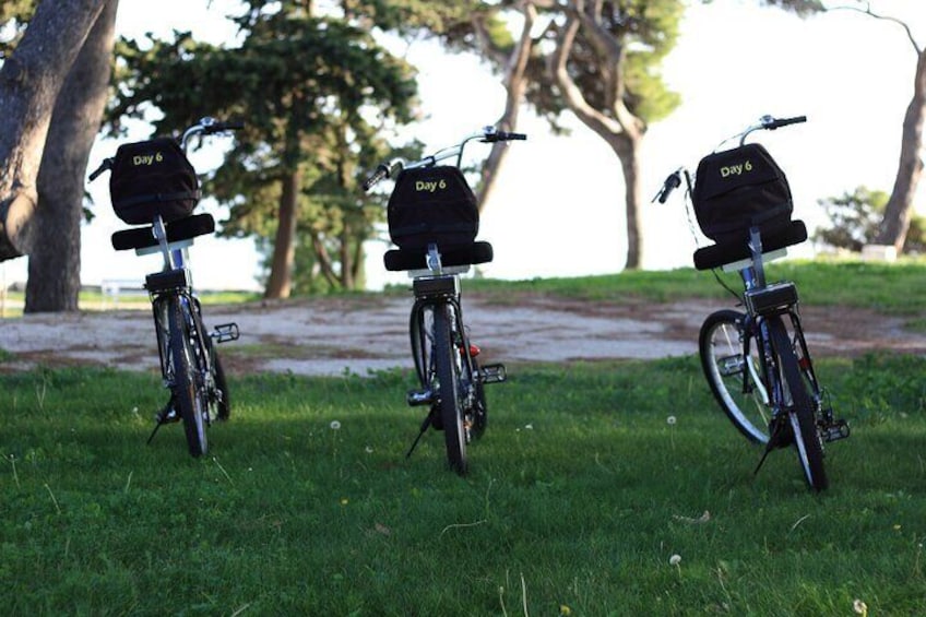 Split Electric Bicycle Tour