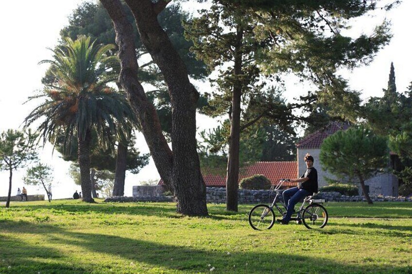 Split Electric Bicycle Tour