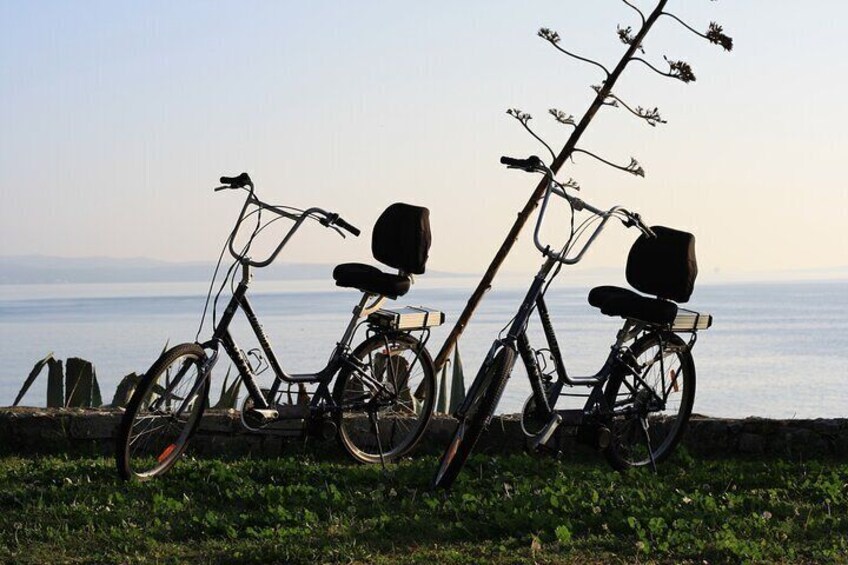 Split Electric Bicycle Tour