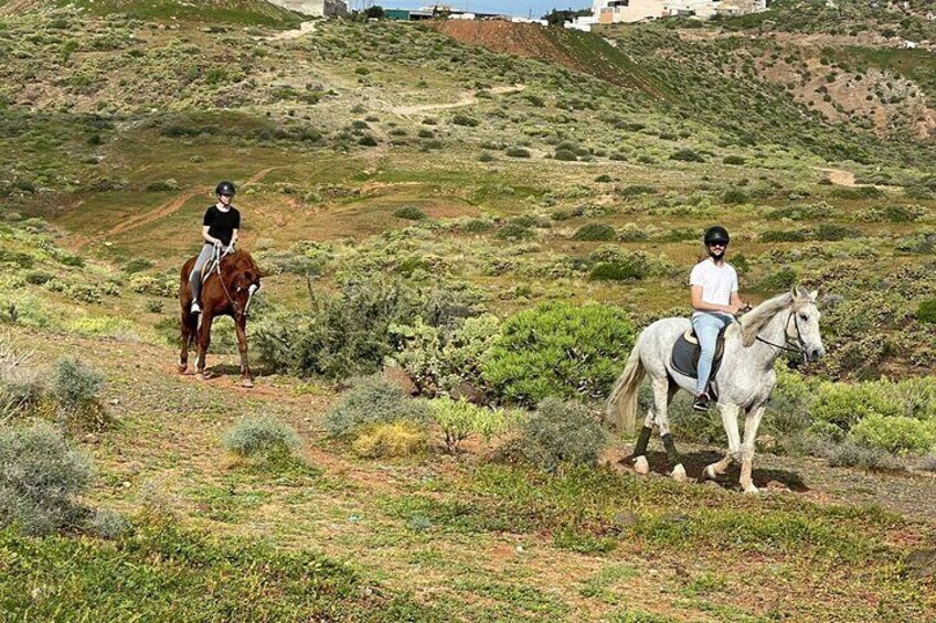 Relaxing Horse Riding Tour in Gran Canaria