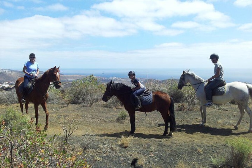 Kids and Adults Horse Riding TOUR GRAN CANARIA
