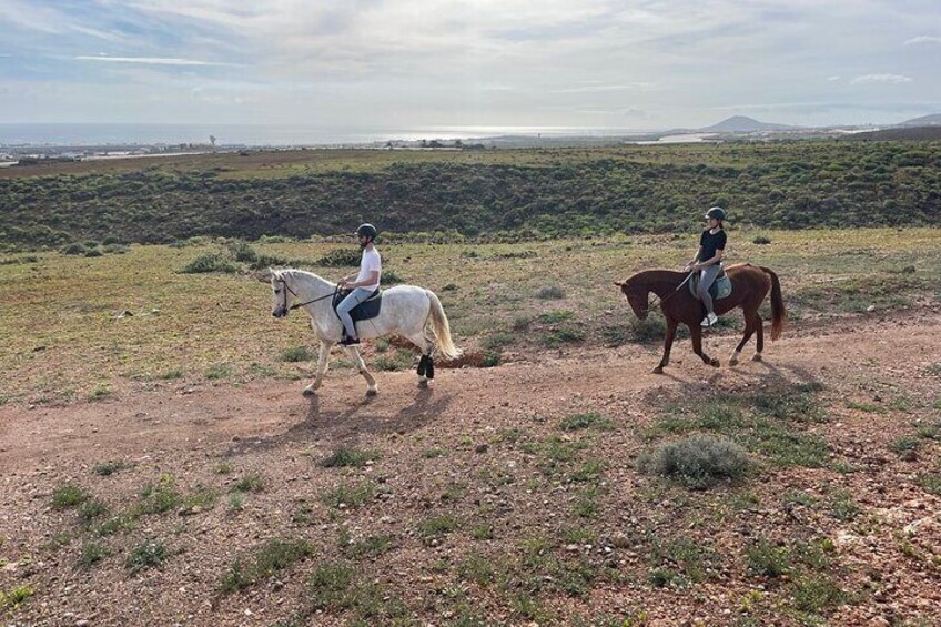 Relaxing Horse Riding Tour in Gran Canaria